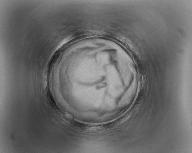 X0000116101165201001040946