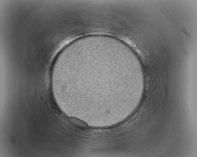 X0000116101167201001040946