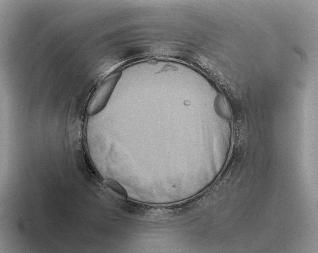 X0000116101169201001040946