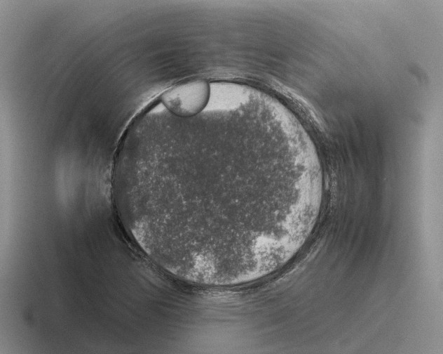 X0000116101170201001040946