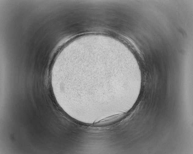 X0000116101172201001040946