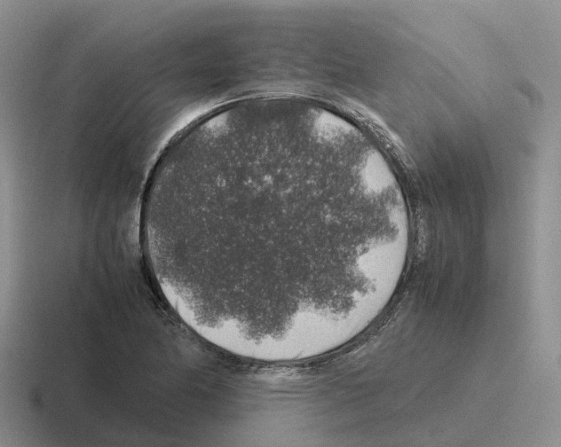 X0000116101174201001040946