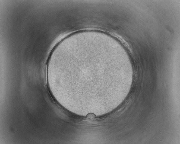 X0000116101175201001040946