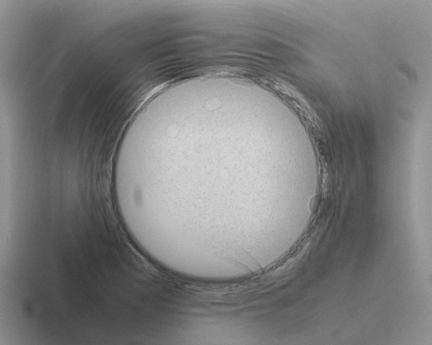 X0000116101177201001040946