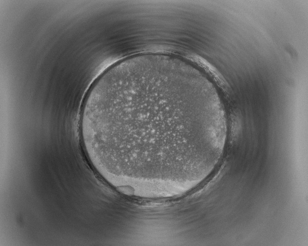 X0000116101178201001040946