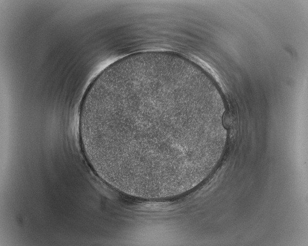 X0000116101179201001040946