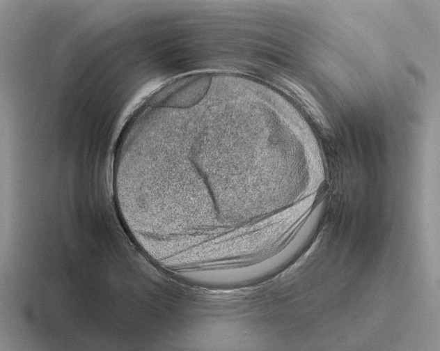 X0000116101180201001040946