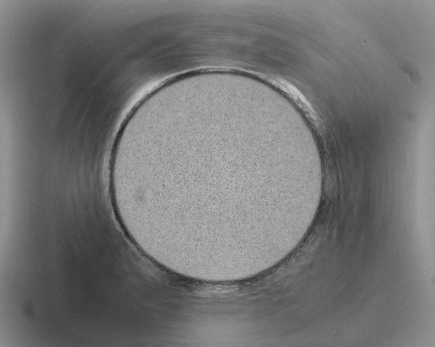 X0000116101183201001040946