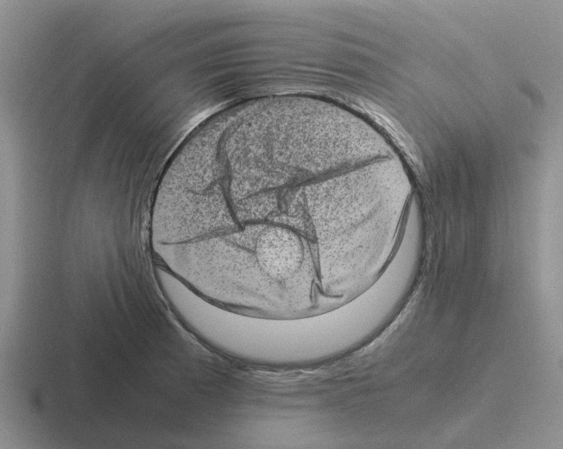 X0000116101185201001040946