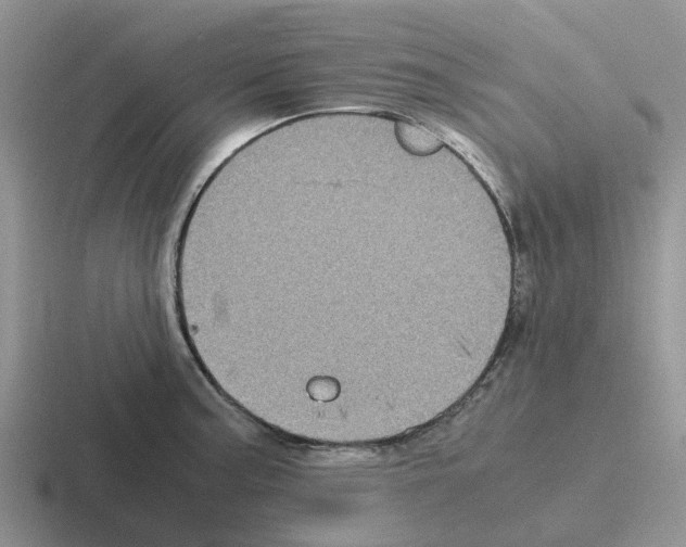 X0000116101187201001040946