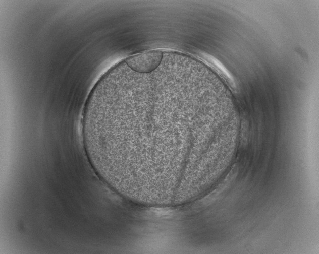 X0000116101190201001040946