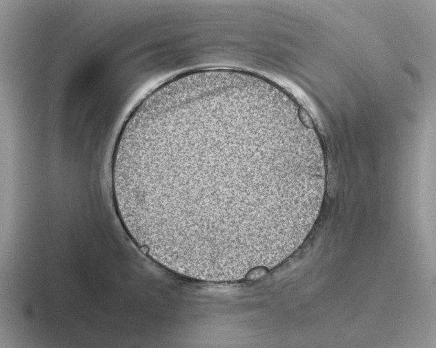 X0000116101191201001040946