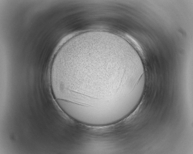 X0000116101192201001040946