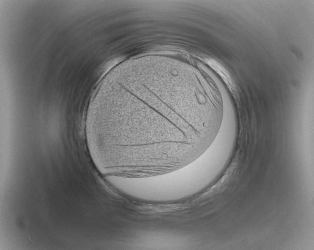 X0000116101193201001040946