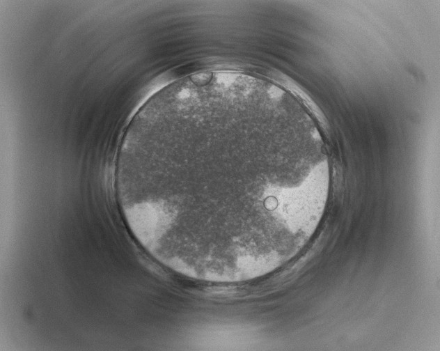 X0000116101194201001040946