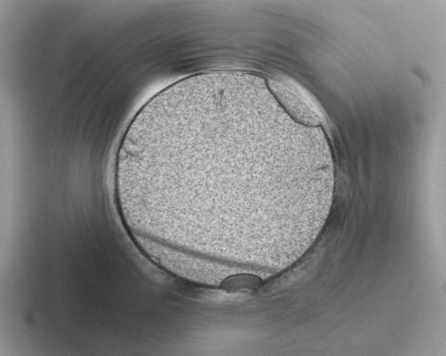 X0000116101195201001040946