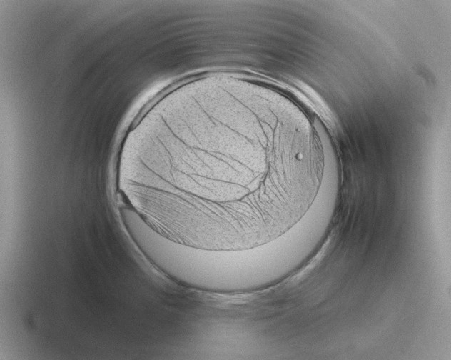 X0000116101196201001040946