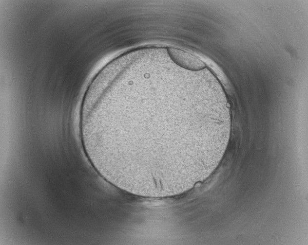 X0000116101199201001040946