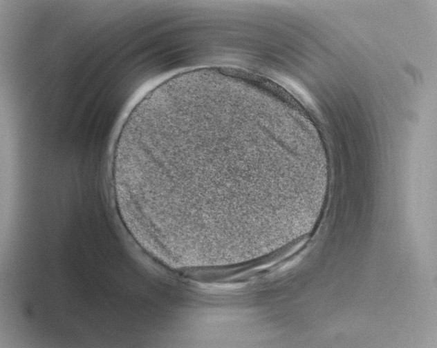 X0000116101200201001040946