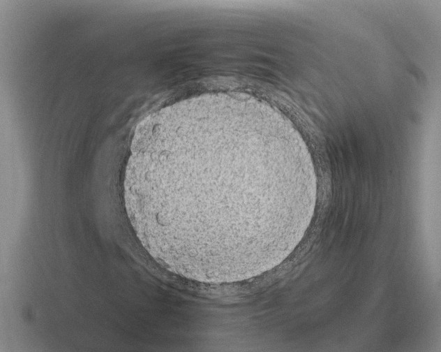 X0000116101201201001040945