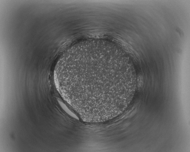 X0000116101202201001040945