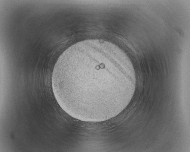 X0000116101204201001040945