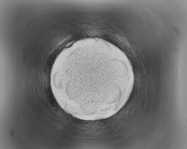 X0000116101205201001040945