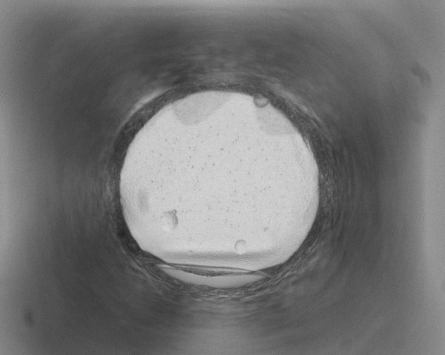 X0000116101206201001040945