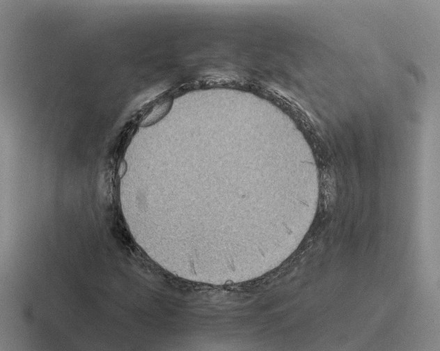 X0000116101207201001040945