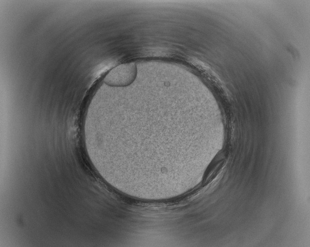 X0000116101210201001040945