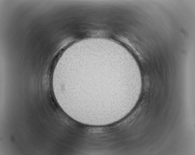 X0000116101211201001040945