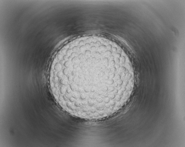 X0000116101212201001040945