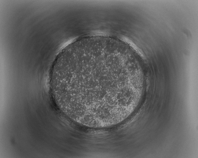 X0000116101213201001040945