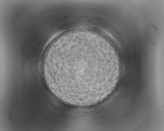 X0000116101216201001040945