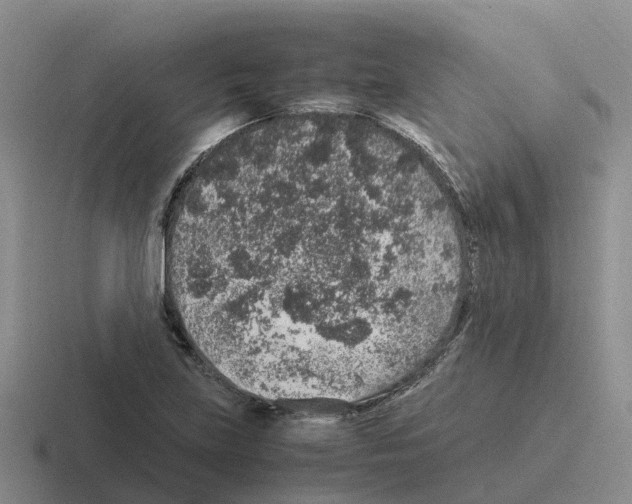 X0000116101219201001040945