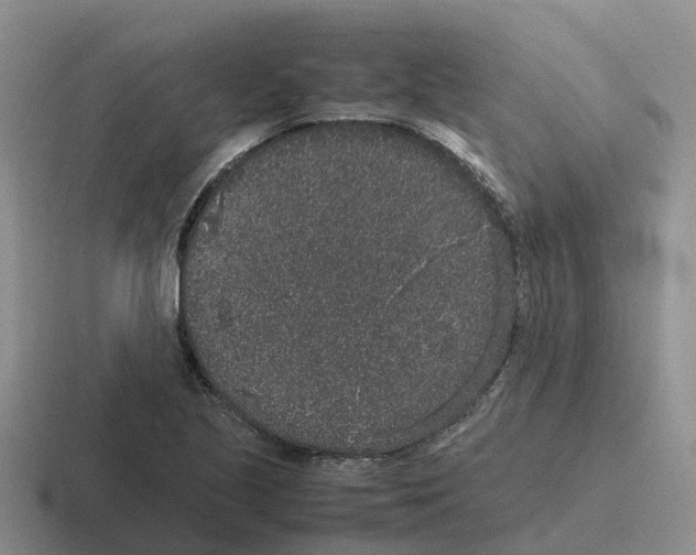 X0000116101221201001040945