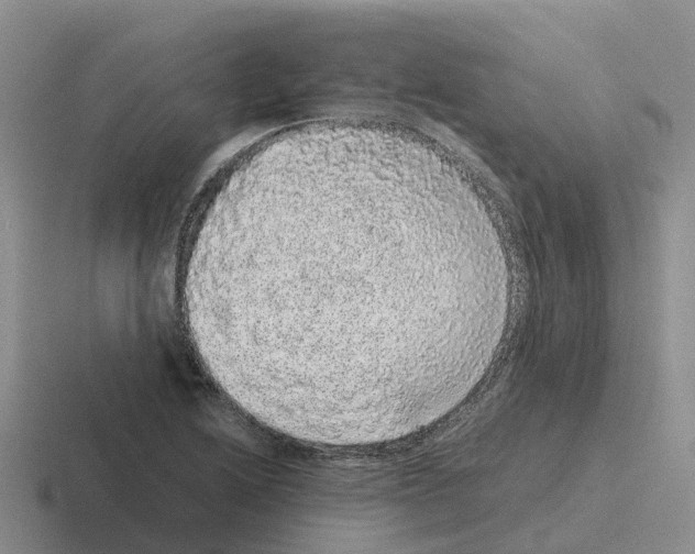 X0000116101222201001040945