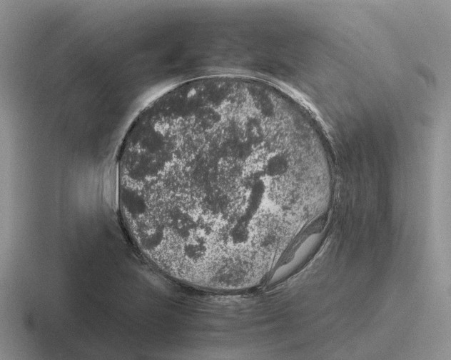 X0000116101223201001040945