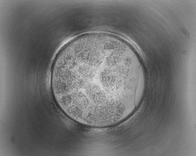 X0000116101224201001040945