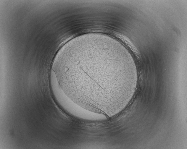 X0000116101225201001040945