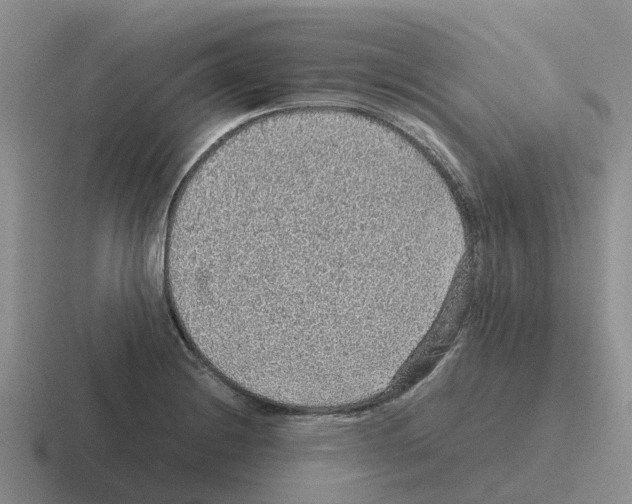 X0000116101228201001040945