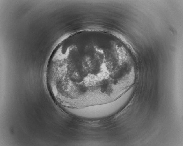 X0000116101229201001040945