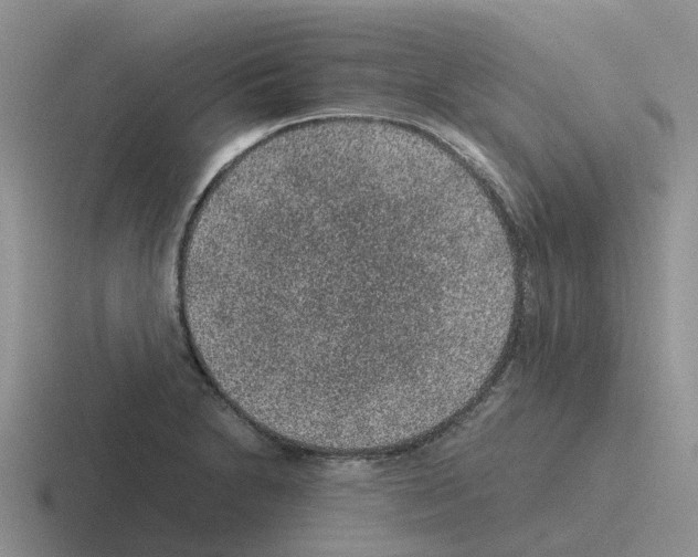 X0000116101230201001040945