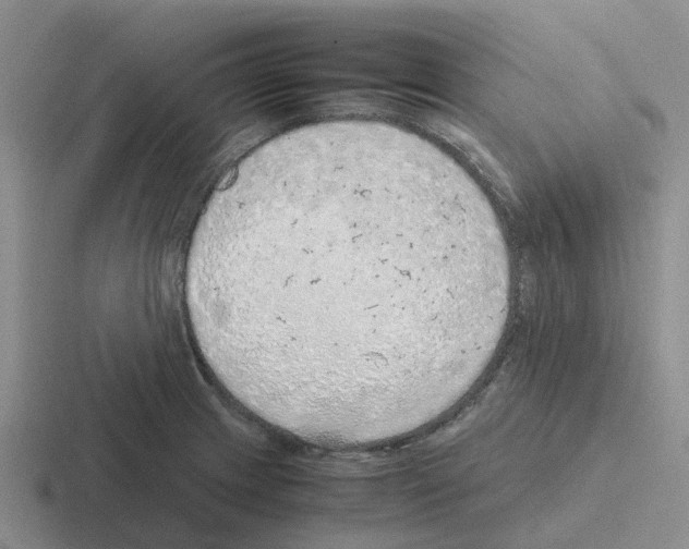 X0000116101233201001040945