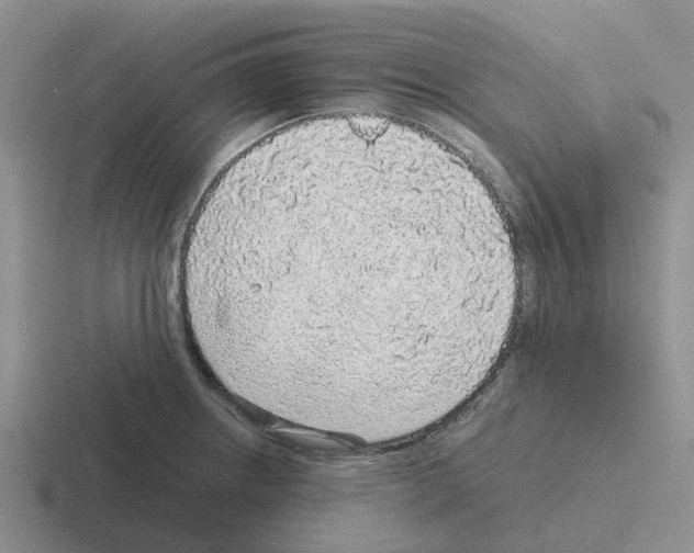 X0000116101234201001040945