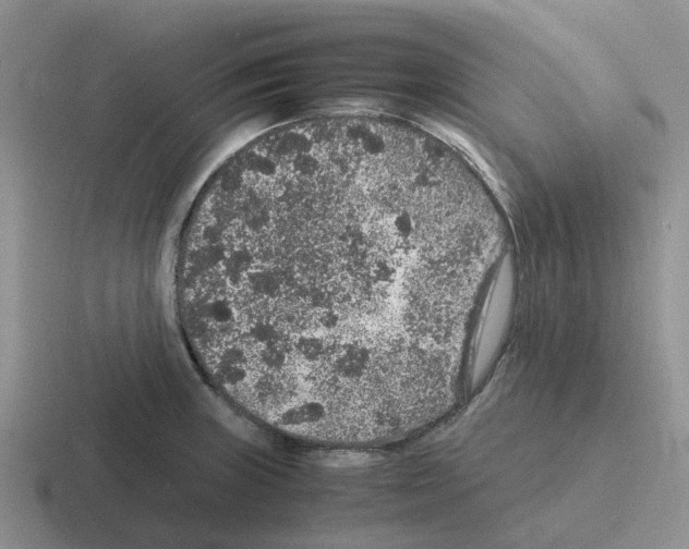 X0000116101235201001040945