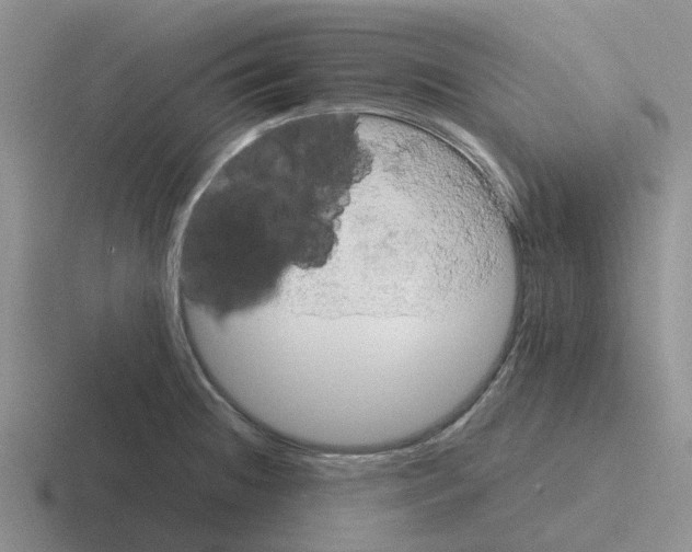 X0000116101236201001040945