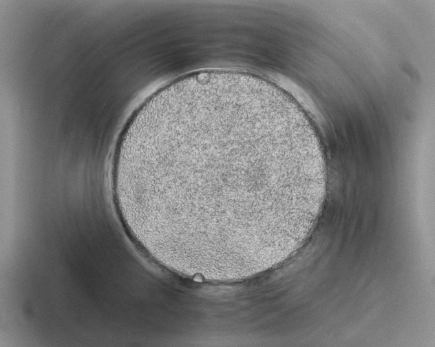 X0000116101237201001040945