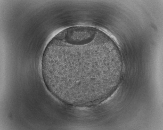 X0000116101239201001040945