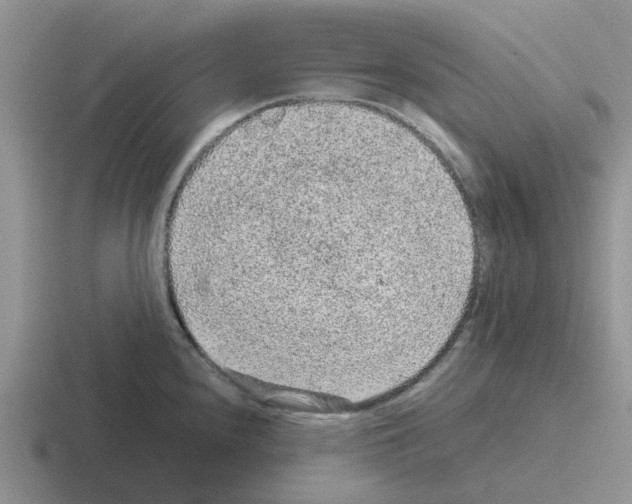 X0000116101240201001040945